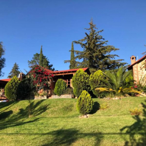 Cabañas villa de San Miguel